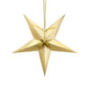 Gouden ster van 45 sm