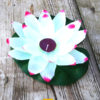 Lotusbloem of waterlelie wit